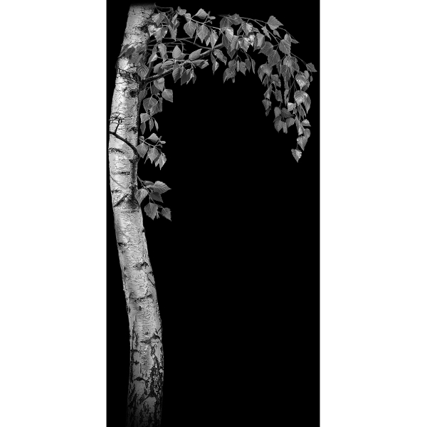 В-206