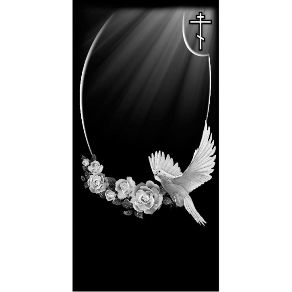 В-229
