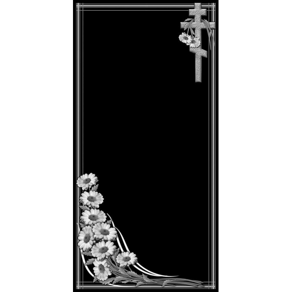 В-244