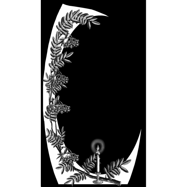 В-313