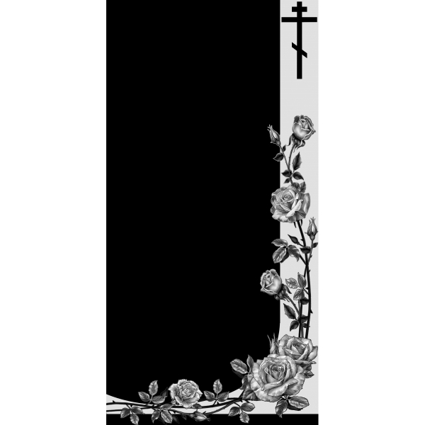 В-31