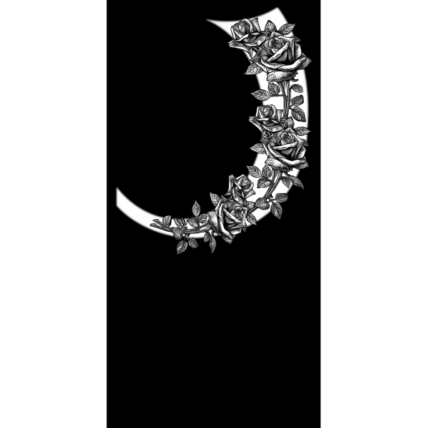 В-321